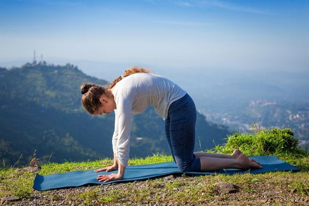 marjariasana bitilasana chat vache